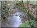 The Winford Brook as it exits from Littleton Mill