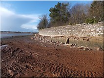SX9687 : Storm damage to the Goat Walk at Topsham by David Smith