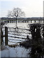 Flooded fields alongside the A525 #1