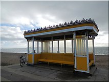 SZ6398 : Seafront Shelter - Southsea by Paul Gillett
