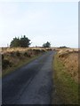 NR3347 : Road beyond Cornabus, Islay by Becky Williamson