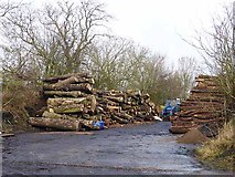NZ0873 : Timber yard at Heugh by Oliver Dixon
