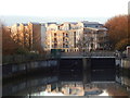 Weir from West End Road