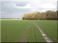 Footpath from Woodhouse Farm towards Catterton Rash