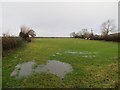 Field,  Bearwood Cross