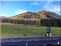 Countryside by the A9, Faskally