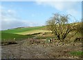 TQ5101 : Downland scenery near Alfriston by nick macneill