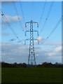 Looking along the pylon line near Beech Bungalow