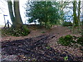 Bridleway leaves lane at Hermitage Farm