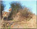 Robin Hood Way, Hucknall Aerodrome Vicinity, Notts.