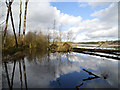 SJ5571 : Blakemere Moss, Delamere Forest by Clive Giddis