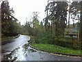 Linslade Road at Rushmere Country Park