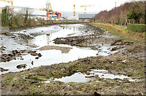 J3675 : The Connswater, Belfast - February 2014 by Albert Bridge