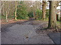 Footpath, Windlesham