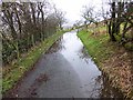 Gate and flooded road on the C2C