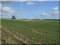 Crop field off St Albans Road