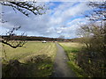 Rimrose Country Park pathway