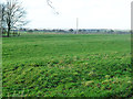 Field near Mount Pleasant Farm