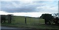 Double gate into farmland near Riby