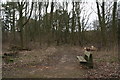 Disused and infilled quarry near Calceby, on the A16