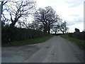 Lane looking south at Lower Hall