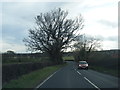 Overton Road south of Cock Bank