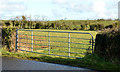 Field gate near Crawfordsburn