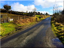 J0423 : Tamnaghbane Road, Killeavy by Dean Molyneaux