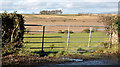 Field gate, Ballymullan near Crawfordsburn