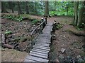 Bridge, Kelty Burn