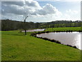 Fishing lakes, Newlands, near Cross Ash