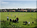 Upper Haugh Cricket Pitch