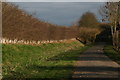 Psalter Road towards the village of Claxby St.Andrew