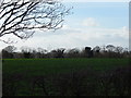 Pylons, trees and farmland from Whitestreet Green turnoff