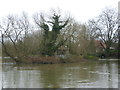 An island next to Thames Ditton Island