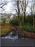 TQ0749 : North Downs Way goes east from Staple Lane by Shazz