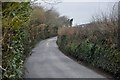 North Cornwall : Boundary Road