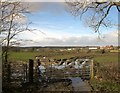 Muddy gateway, Fishpool Hill