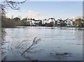 The Thames below Eel Pie Island, February 2014