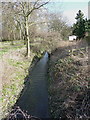 Downstream on the Westley Brook