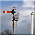 Signal and chimney