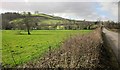 Meadow near Lower Fork Barn