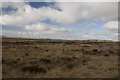 NR3355 : Moorland at Duich Moss, Islay by Becky Williamson