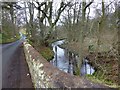 Roddam Burn