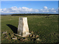 Trig point at Moot Law