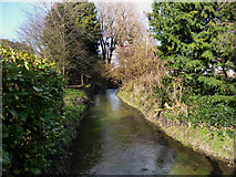 SU0972 : River Kennet in Winterbourne Monkton by Des Blenkinsopp