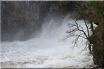 NS8841 : Spray at the foot of Corra Linn, Falls of Clyde by Jim Barton