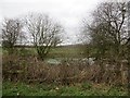 Pond off Wood Road