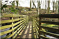 Footbridge over Lady Burn, Glenluce