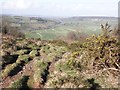 Path down to Webbington